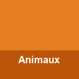 Les animaux en arabe